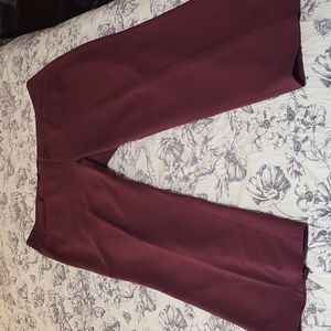 22W Burgundy pants